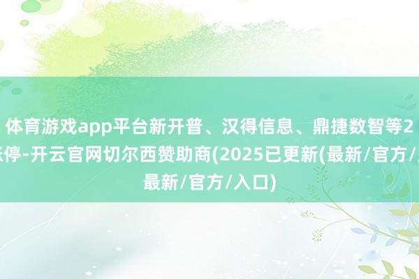 体育游戏app平台新开普、汉得信息、鼎捷数智等20%涨停-开云官网切尔西赞助商(2025已更新(最新/官方/入口)