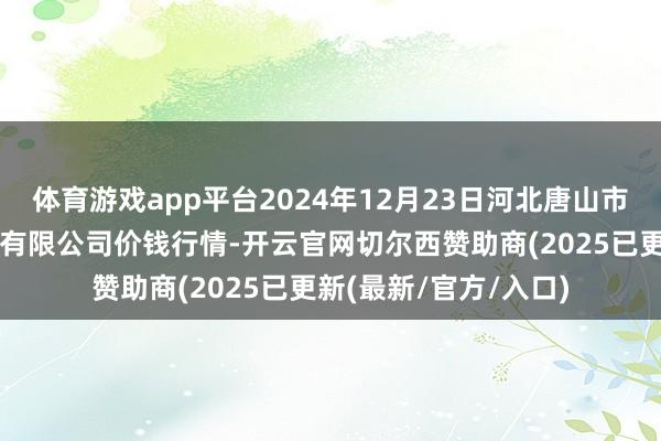 体育游戏app平台2024年12月23日河北唐山市荷花坑商场筹算处罚有限公司价钱行情-开云官网切尔西赞助商(2025已更新(最新/官方/入口)