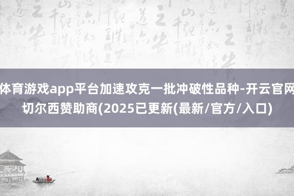 体育游戏app平台加速攻克一批冲破性品种-开云官网切尔西赞助商(2025已更新(最新/官方/入口)